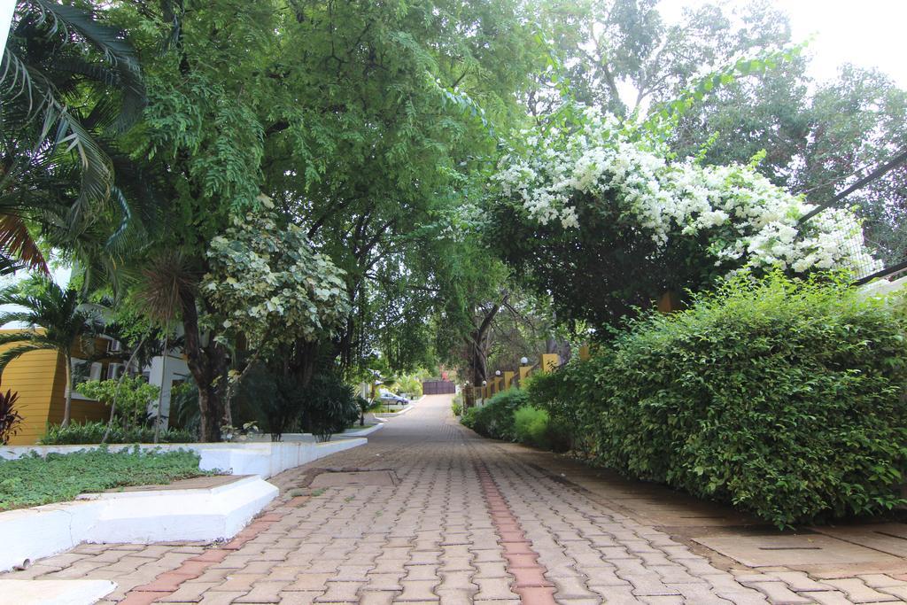 Rainforest - Casa Del Sol, Anjuna - 3 Kms From The Beach Екстериор снимка