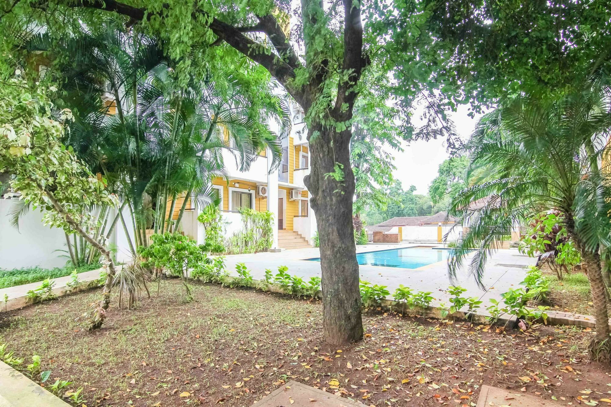 Rainforest - Casa Del Sol, Anjuna - 3 Kms From The Beach Екстериор снимка